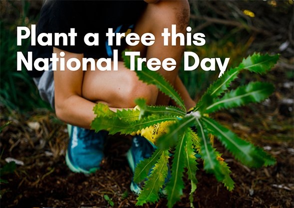 National Tree Day - Lake Monjingup Tree Planting
