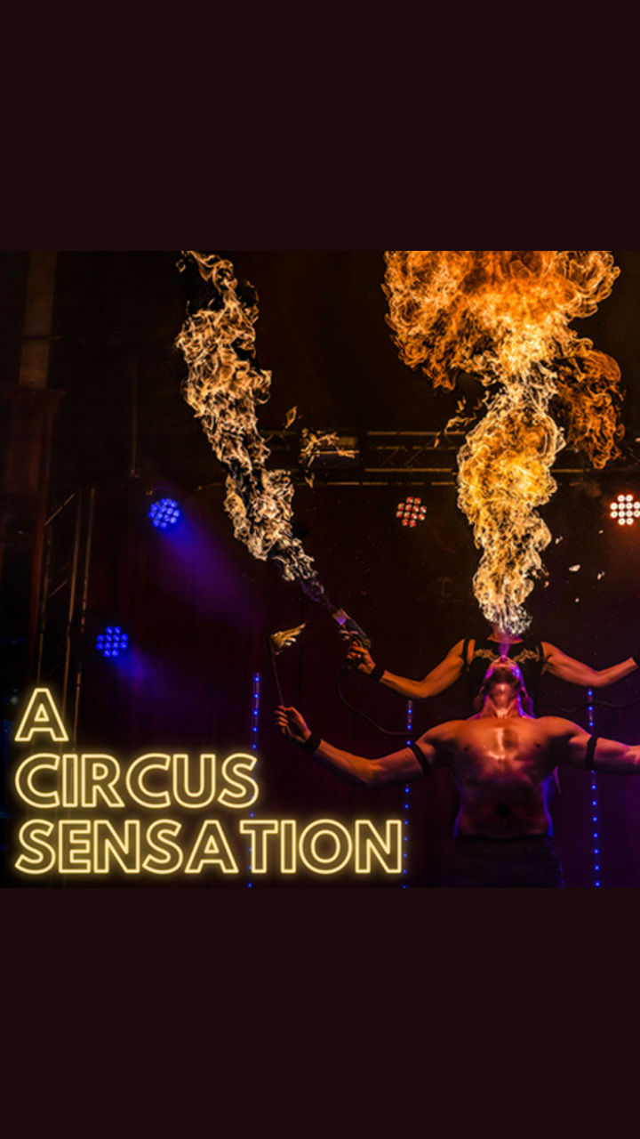 A Circus Sensation