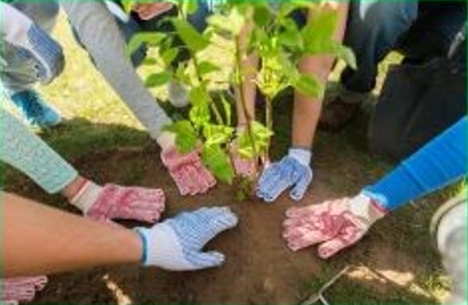 One & All Community Program - Tree Planting
